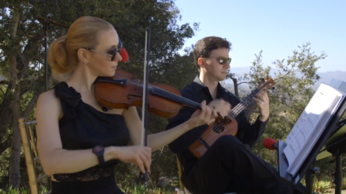 Violin and Ukulele