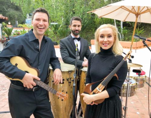 Violin and Ukulele with percussion